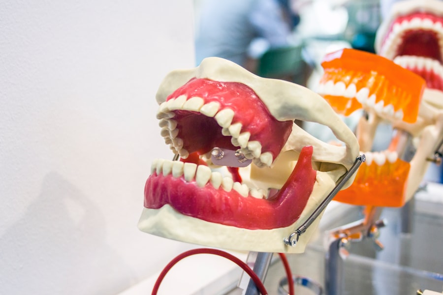 Photo dentist selection, technique, reputation